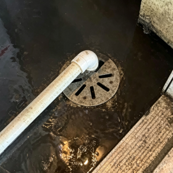 Multiple Floor Drain Drainage Inspection Service
