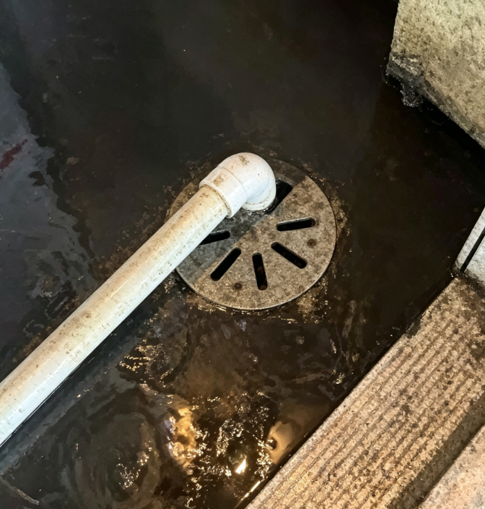 Multiple Floor Drain Drainage Inspection Service